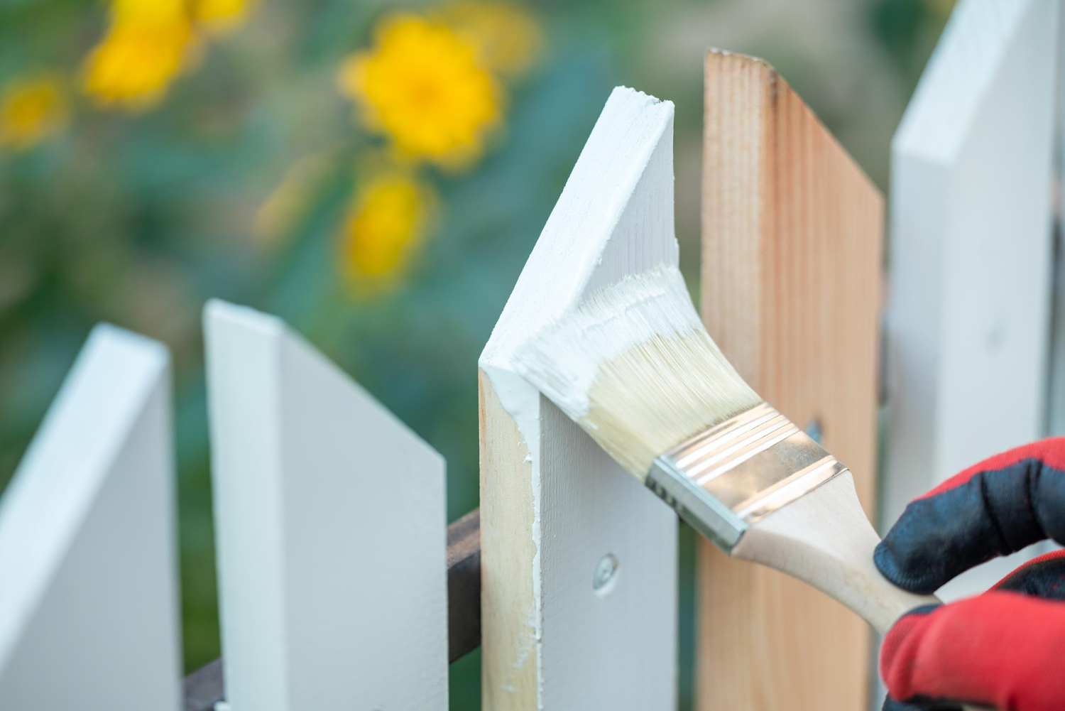 Fence Painting